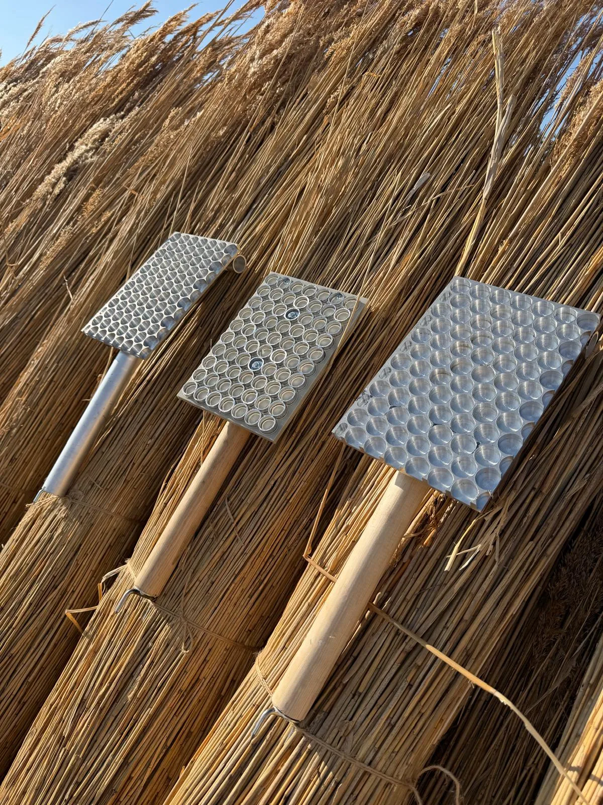 HADAK-rietkloppers met massieve bladen en een ringblad op goudkleurige bundels riet